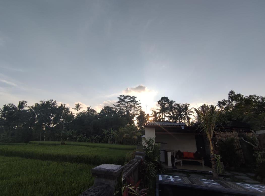 Anggarakasih Ubud Villa エクステリア 写真